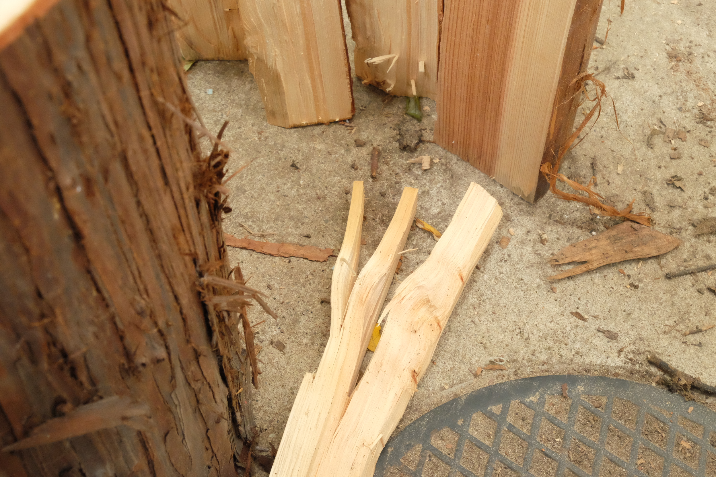 薪の代表的な木の樹種の見分け方とおススメの活用法 その１